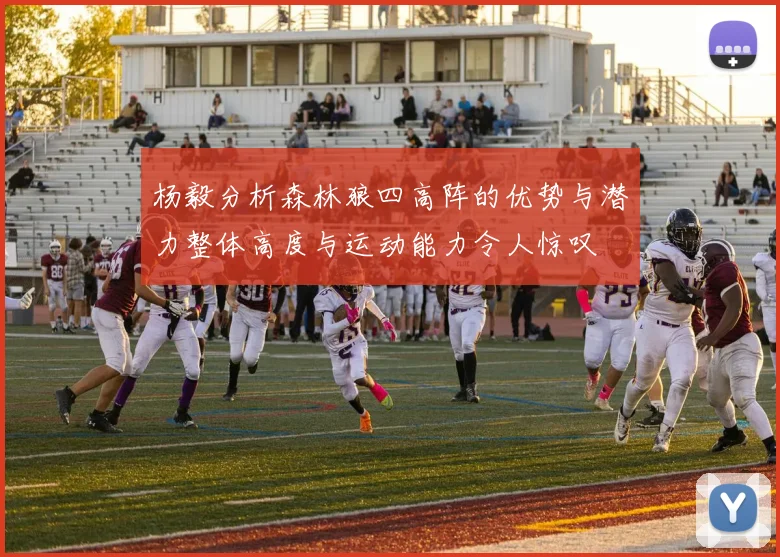 杨毅分析森林狼四高阵的优势与潜力整体高度与运动能力令人惊叹